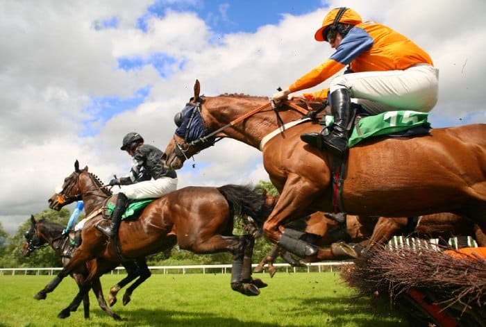 Unibet Horse Racing Betting
