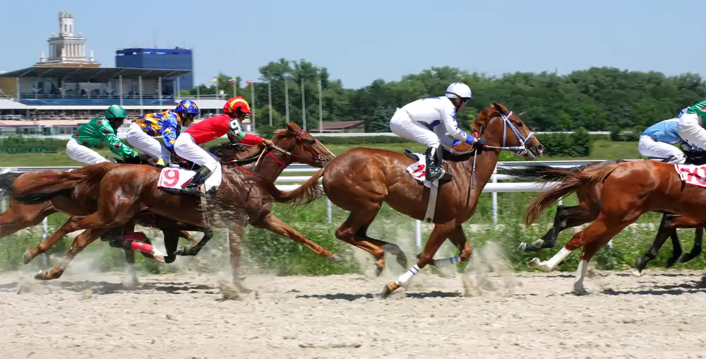 Royal Ascot Horse Race Royal Ascot Betting