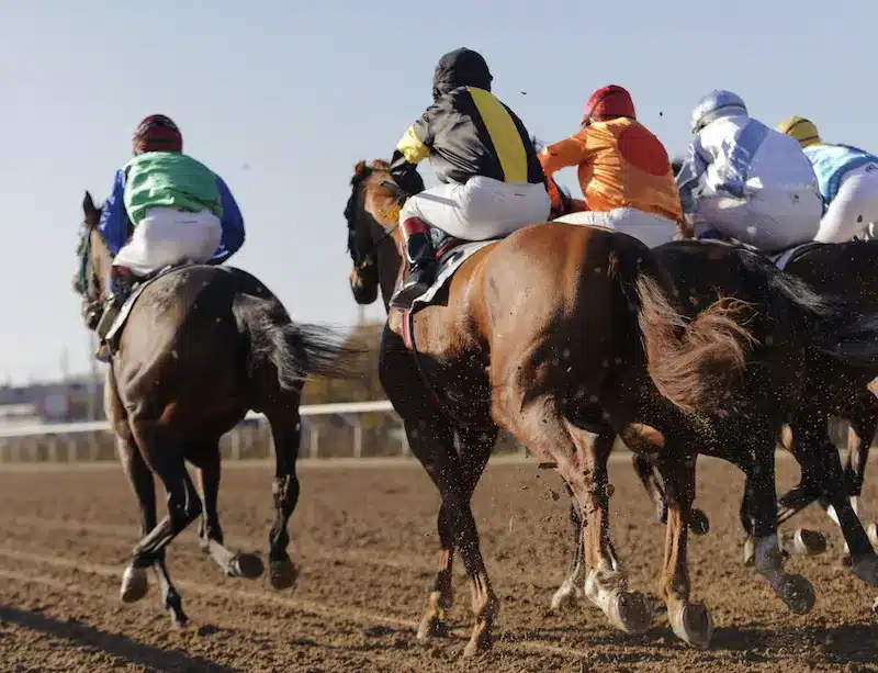 Online Horse Racing Bets